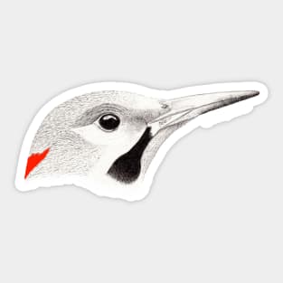 Northern Flicker (Colaptes auratus) - black Sticker